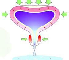 Urogynaecology